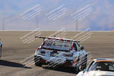 media/Oct-14-2023-Lucky Dog Racing (Sat) [[cef75db616]]/Turn 12 Exit-Bowl Backside (230pm)/